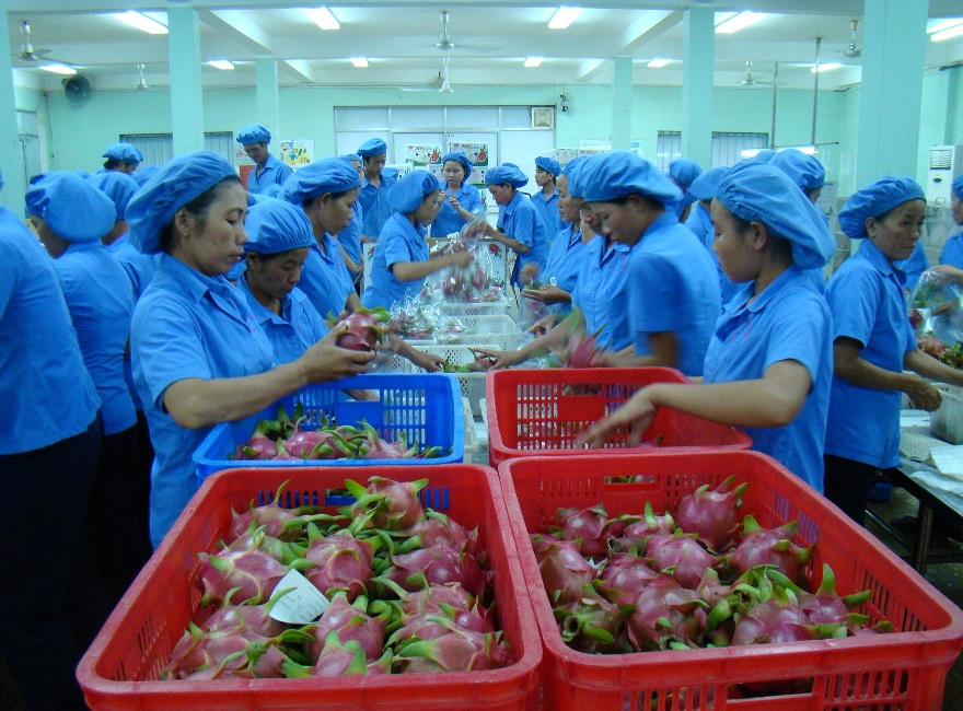  8 tháng năm 2024: Xuất khẩu tiếp tục là điểm sáng trong bức tranh chung của nền kinh tế